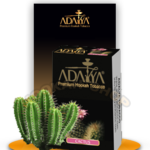 ADALYA CACTUS