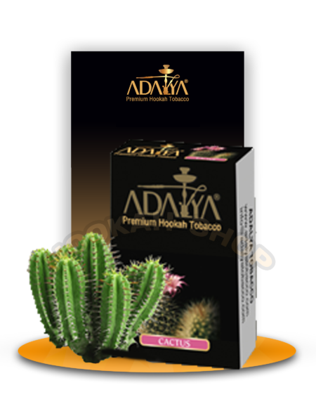 ADALYA CACTUS – אדליה קקטוס